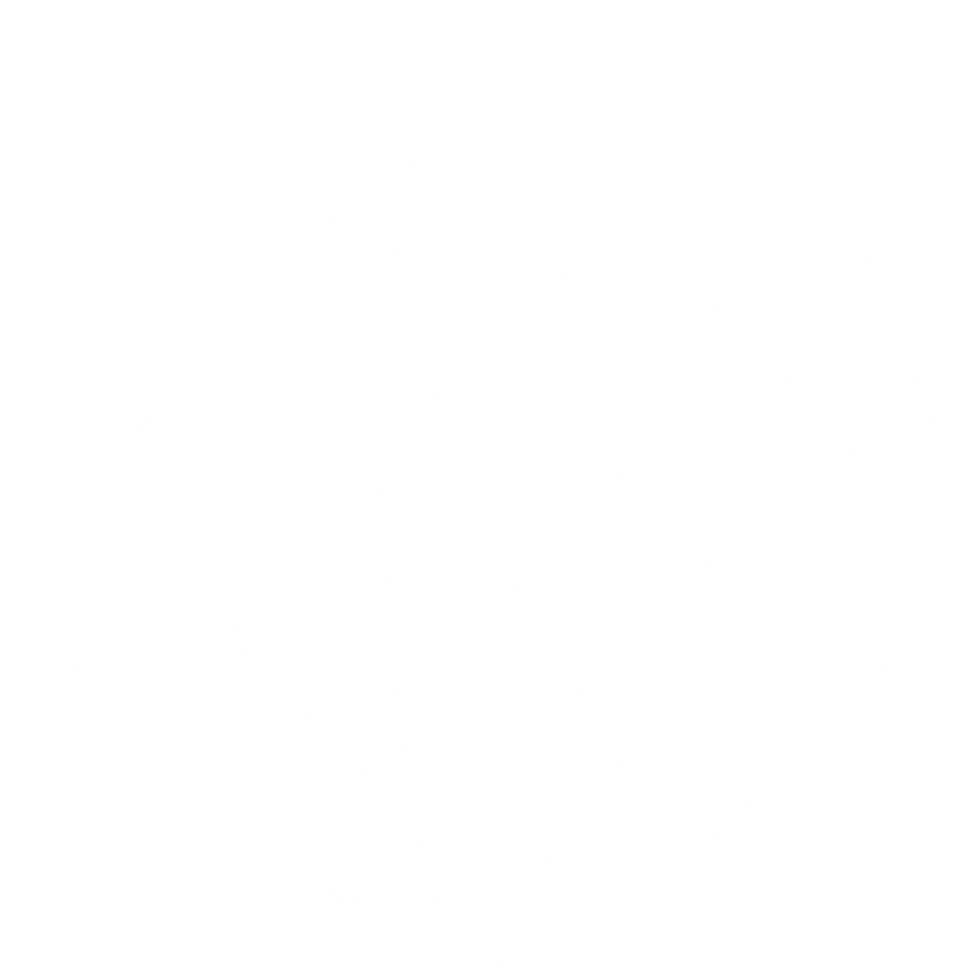 cyber network icon
